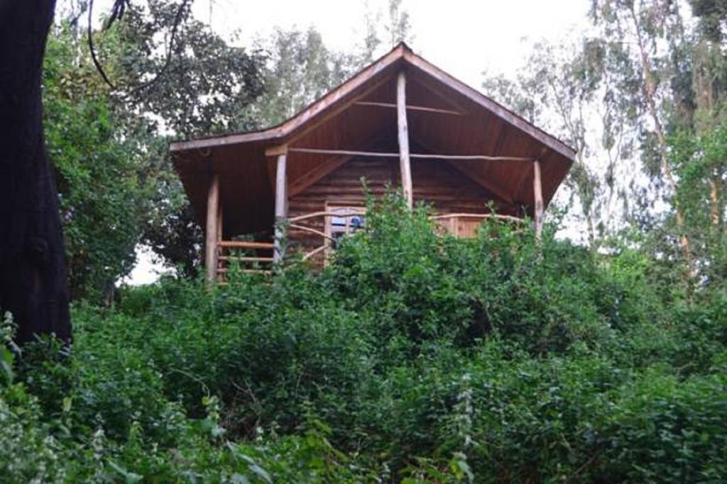 Lake Bunyonyi Eco Resort Chabahinga Bilik gambar