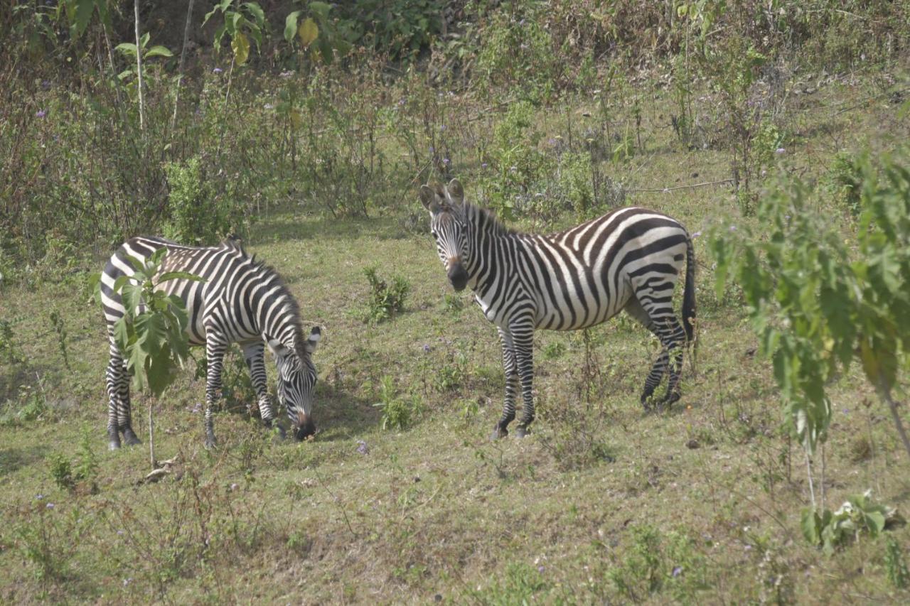 Lake Bunyonyi Eco Resort Chabahinga Luaran gambar